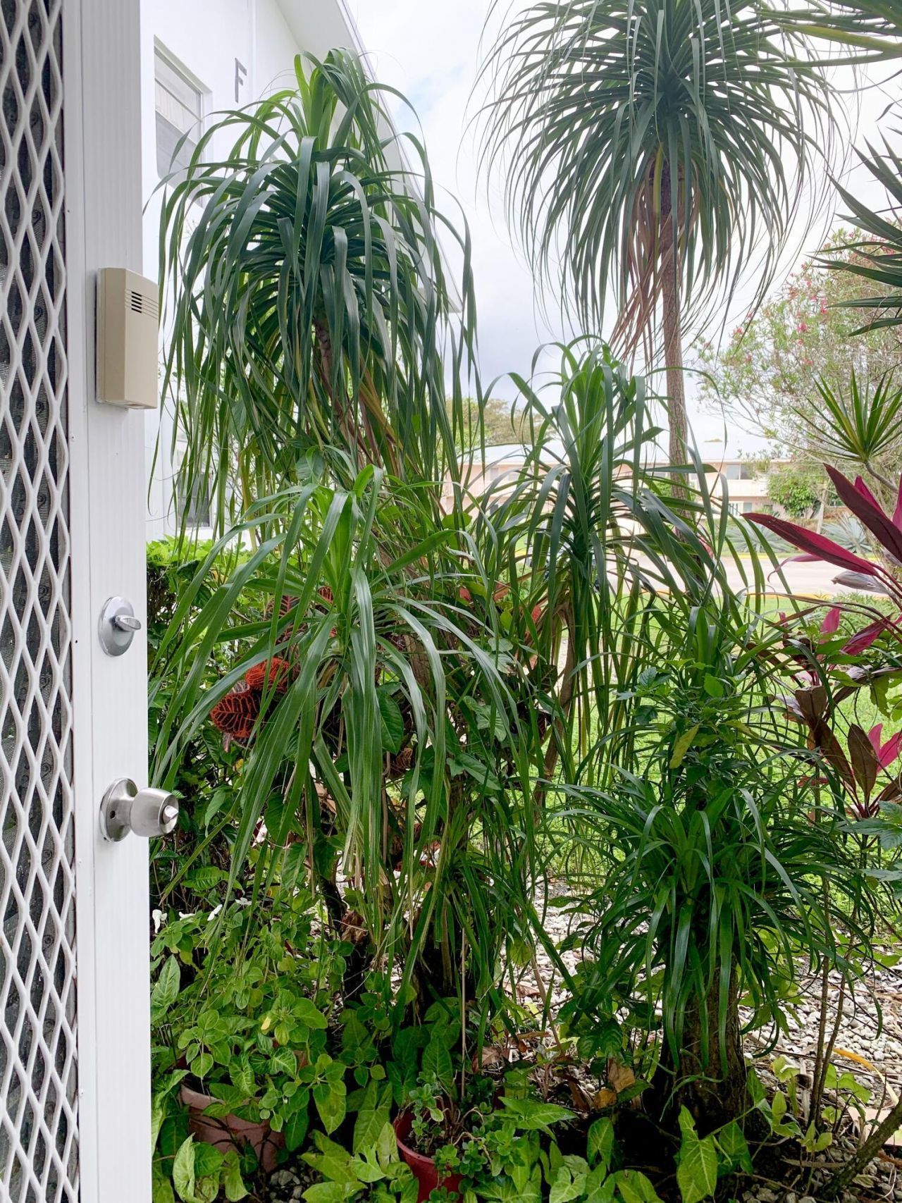130 Sheffield F, West Palm Beach, FL 33417 Photo