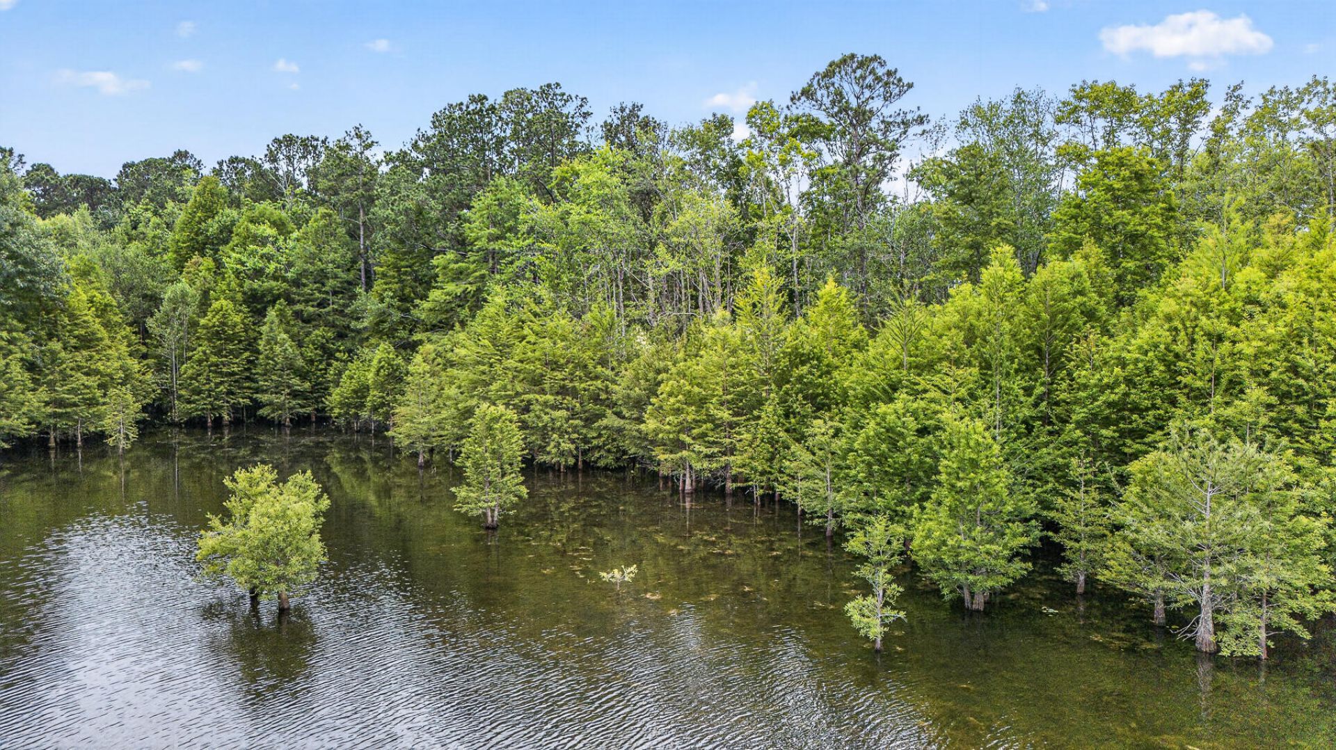 201 Lake Moultrie Drive Photo 173