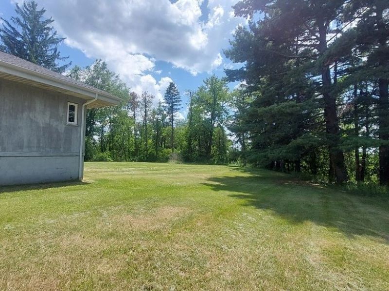 227 Canton Road, Wintersville, OH 43953 Photo 4