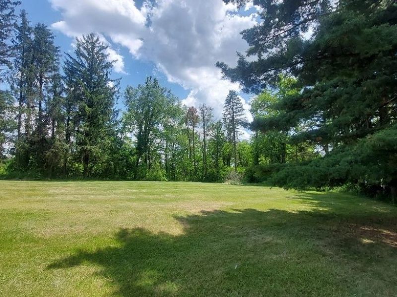 227 Canton Road, Wintersville, OH 43953 Photo 5