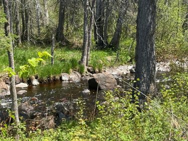 TBD Crown Creek Spur Rd , Finland, MN 55603