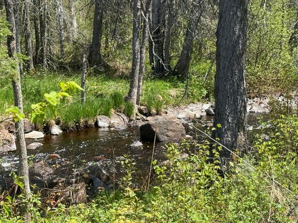 TBD Crown Creek Spur Rd , Finland, MN 55603