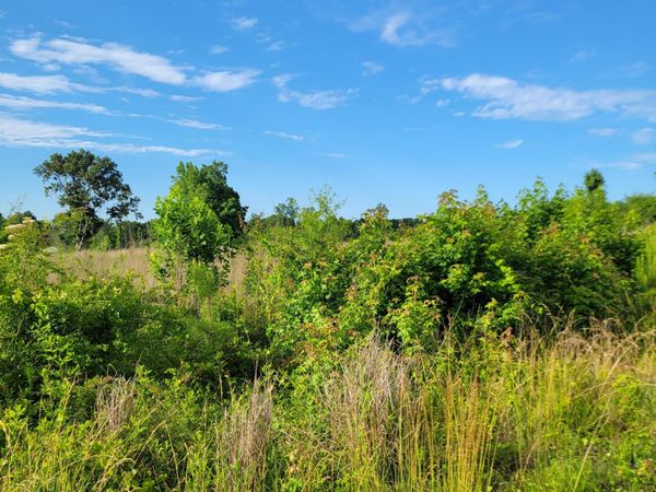 3215492710 Little Kelly Road , Rocky Point, NC 28457