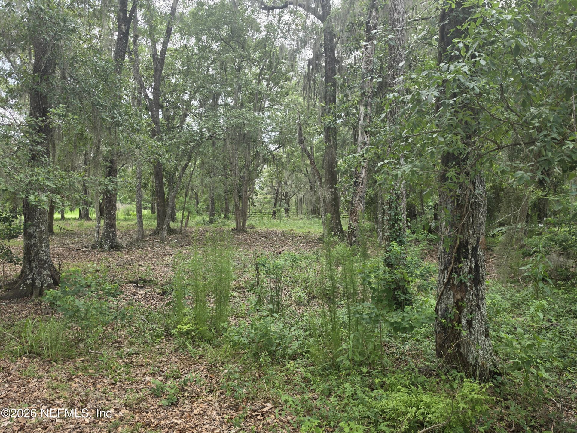 2554 NW 223rd Street Nw, Lawtey, FL 32058 Photo