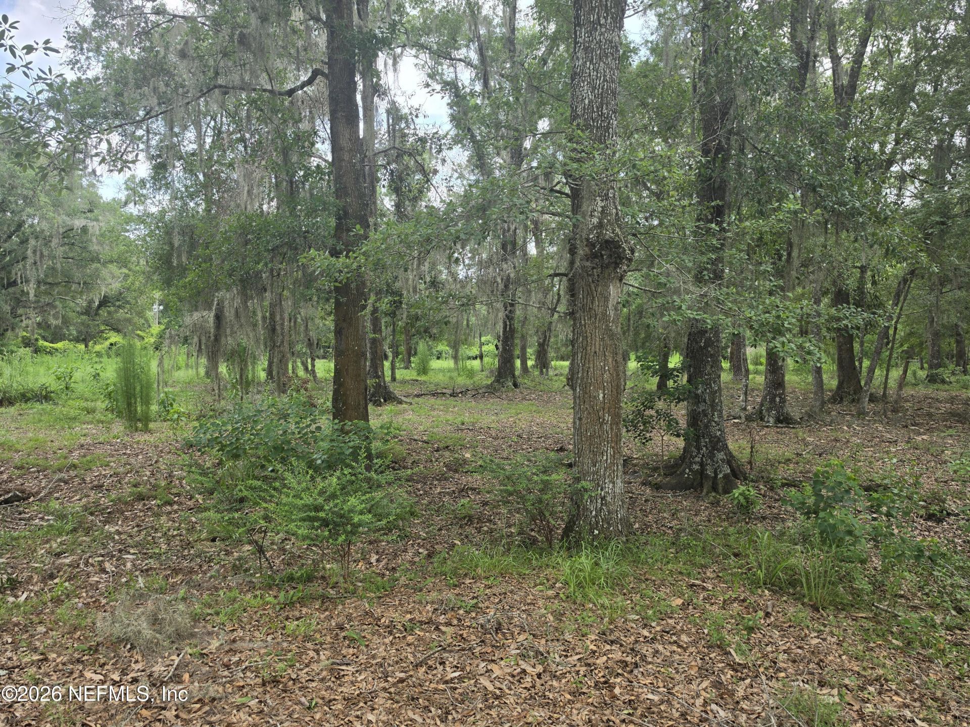 2554 NW 223rd Street Nw, Lawtey, FL 32058 Photo