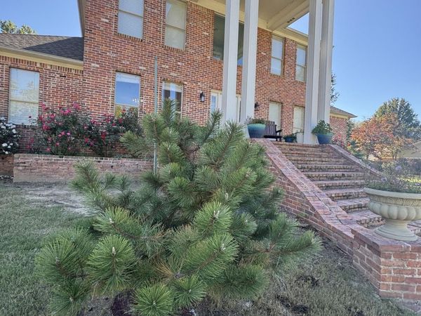 1501 dogwood Trail, Conway, AR 72032