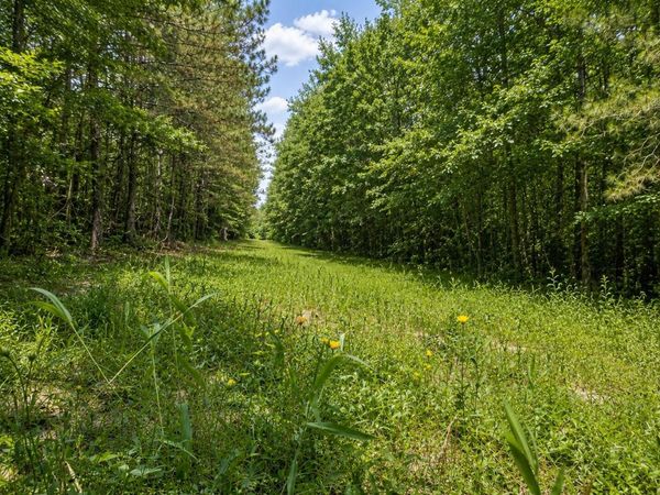 AL-17, Millport, AL 35576