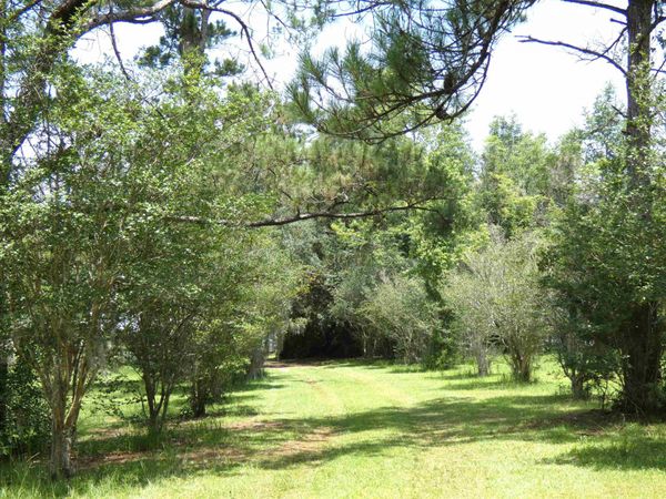 790 WJ Hatchett Road , Lamont, FL 32336