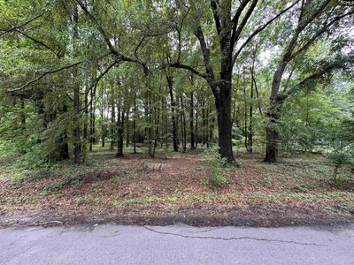 0 SEWANEE Avenue , Unit 24, Cayce, SC 29033