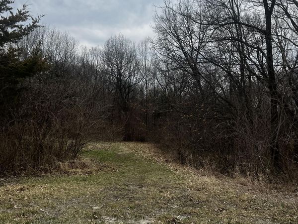 TBD 312th, Danville, IA 52623