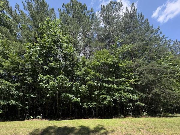 0 Hickory Nut Trl, Spencer, TN 38585