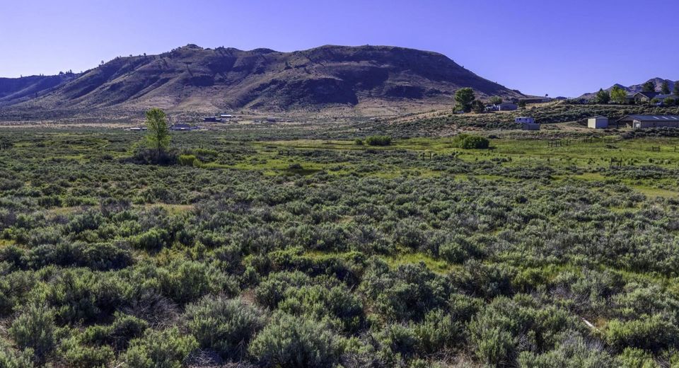 954 Meadow View Lane, Chilcoot, CA 96105 Photo
