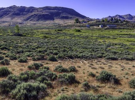 954 Meadow View Lane, Chilcoot, CA 96105 Photo