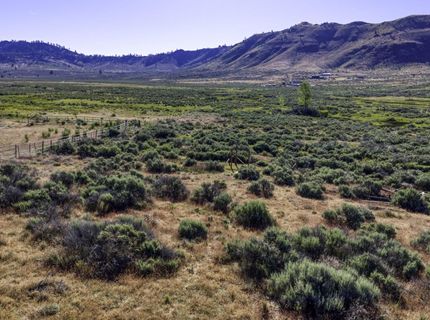 954 Meadow View Lane, Chilcoot, CA 96105 Photo