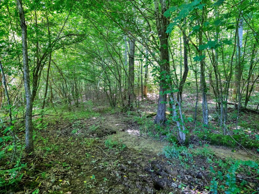Property Image 27