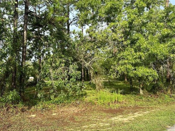 2 BARKWOOD POINT , HOMOSASSA, FL 34446