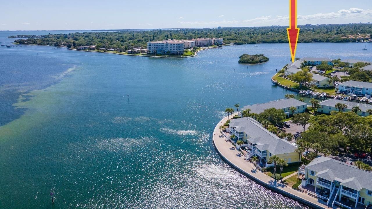 5282 Beach Drive Se, Unit APT D, Saint Petersburg, FL 33705 Photo