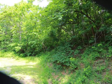 1351 BLACK WALNUT DR , Nellysford, VA 22958