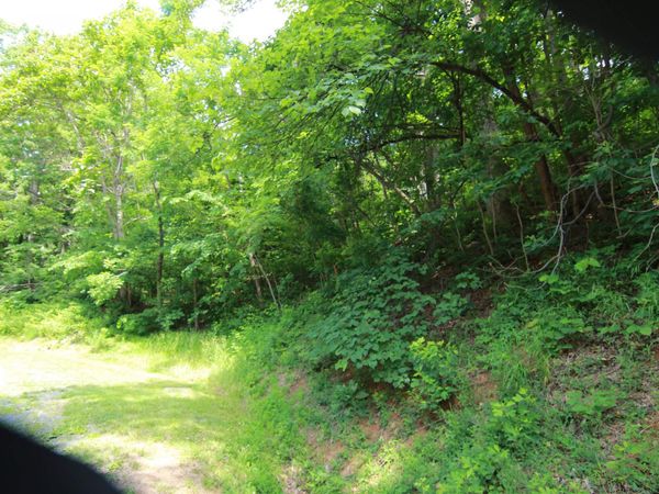 1757 BLACK WALNUT DR, Nellysford, VA 22958