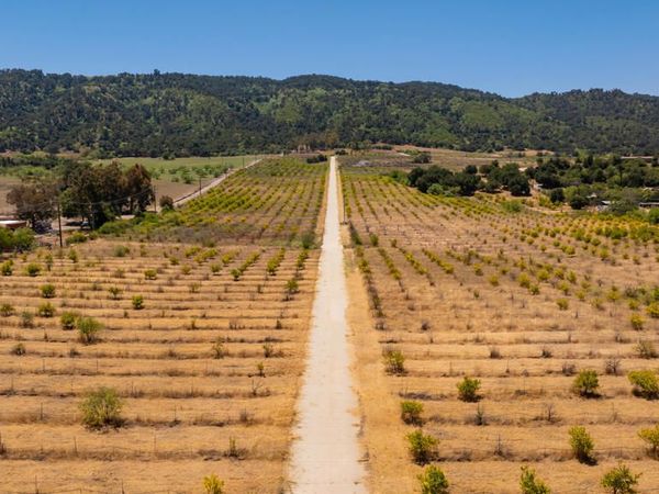 12400 Ojai Santa Paula Road, Ojai, CA 93023