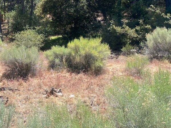 13708 Yellowstone, Frazier Park, CA 93225