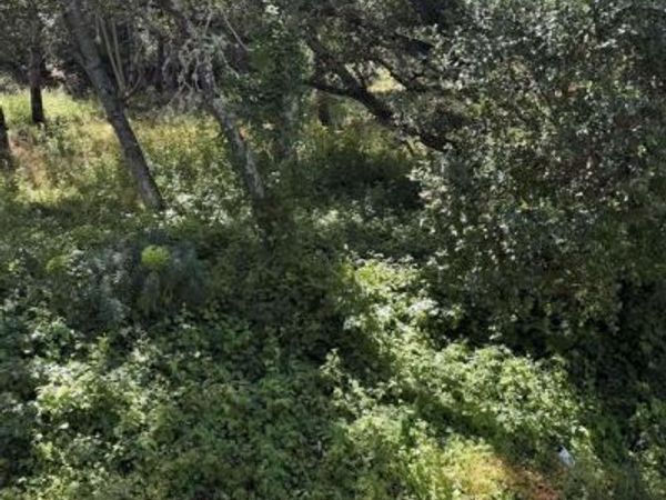Orinda, CA 94563