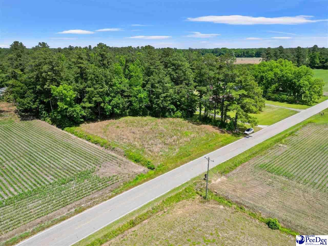 3895 Hwy 430 Photo 38