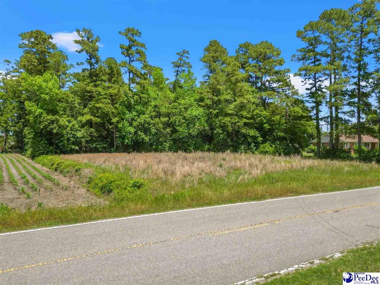3895 Hwy 430 Photo 39