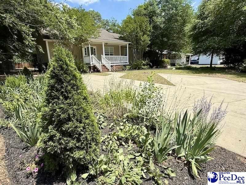 603 Green St Photo 37