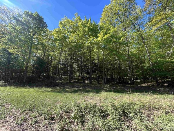 TBD McClure Dam Road, Negaunee Twp, MI 49866
