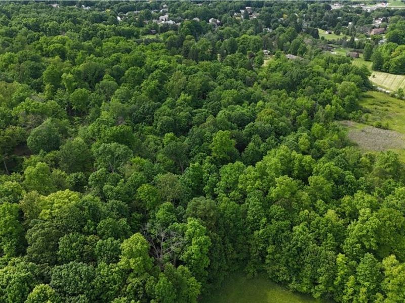 999 Timbercrest Drive, Canfield, OH 44406 Photo 6