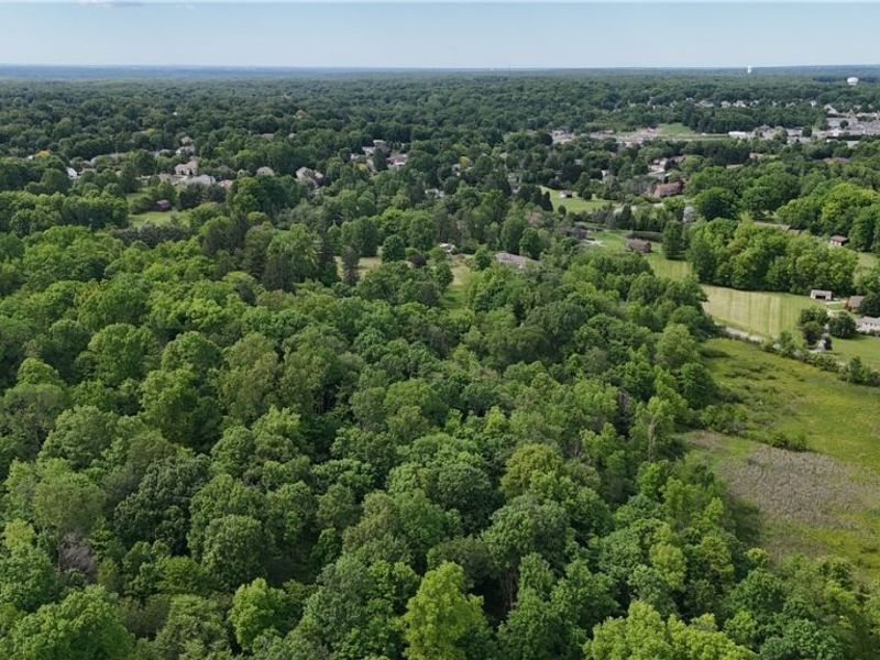 999 Timbercrest Drive, Canfield, OH 44406 Photo 8