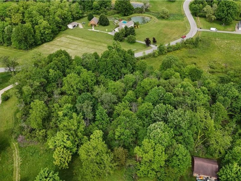 999 Timbercrest Drive, Canfield, OH 44406 Photo 9