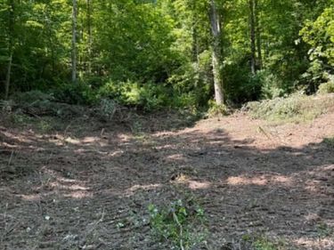 0 Ky-706 Road, Sandy Hook, KY 41171