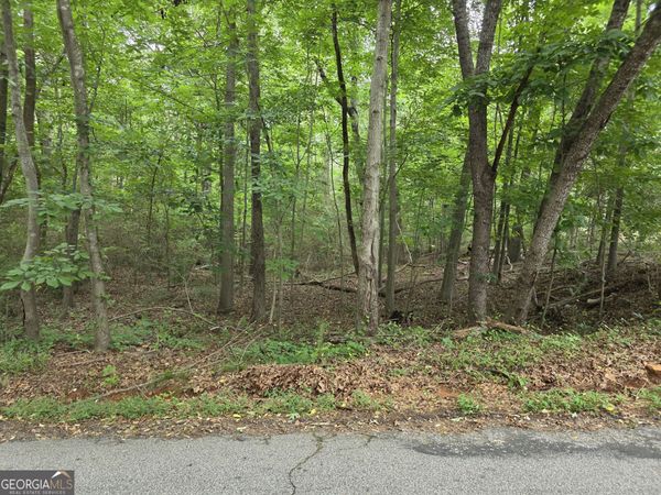 LOT 109 Arrowhead Drive, Lavonia, GA 30553
