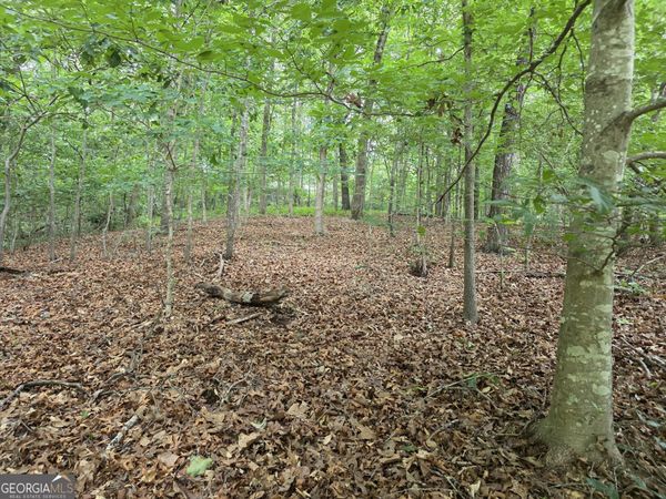 LOT 270 Arrow Lane, Lavonia, GA 30553