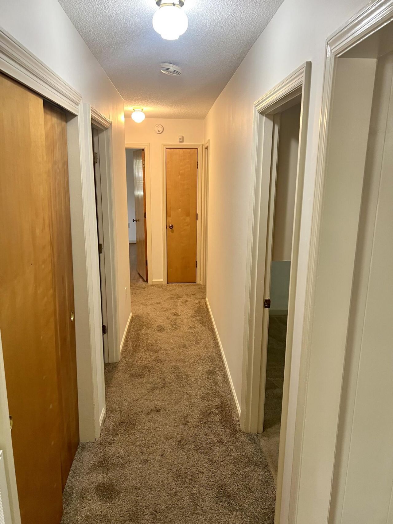 2485 Birkenhead Drive Photo 21