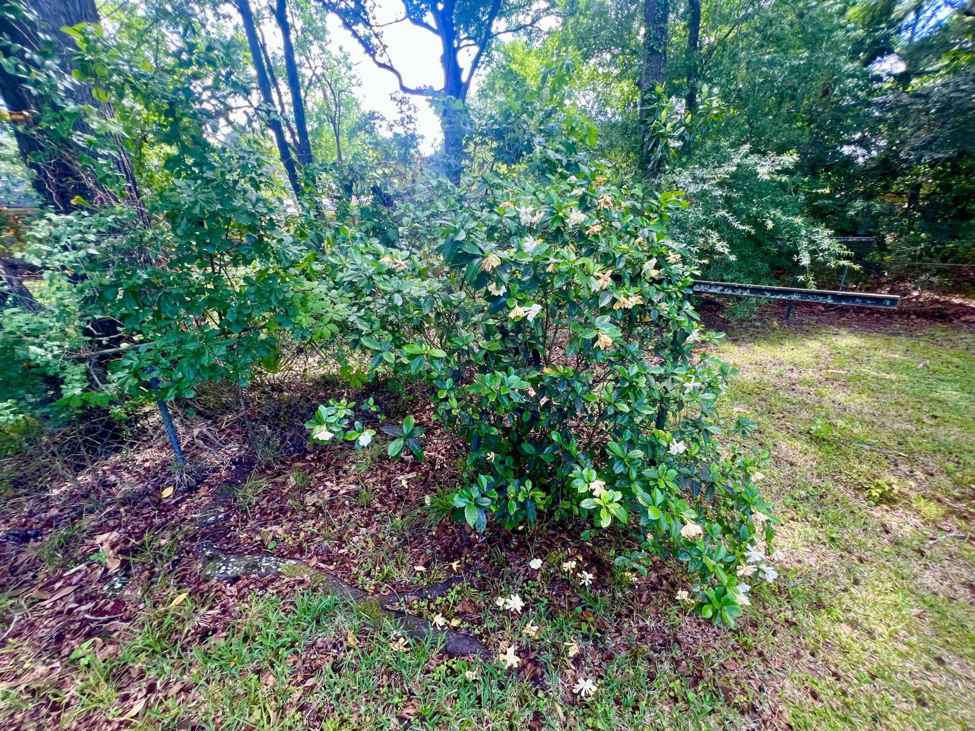 2485 Birkenhead Drive Photo 45