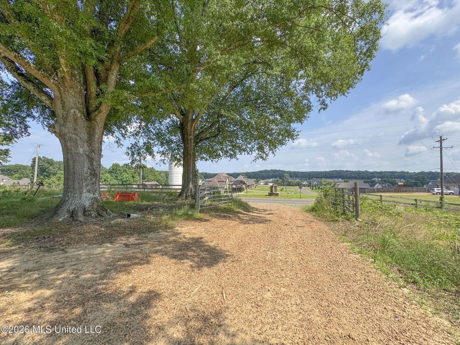 Property Image 46