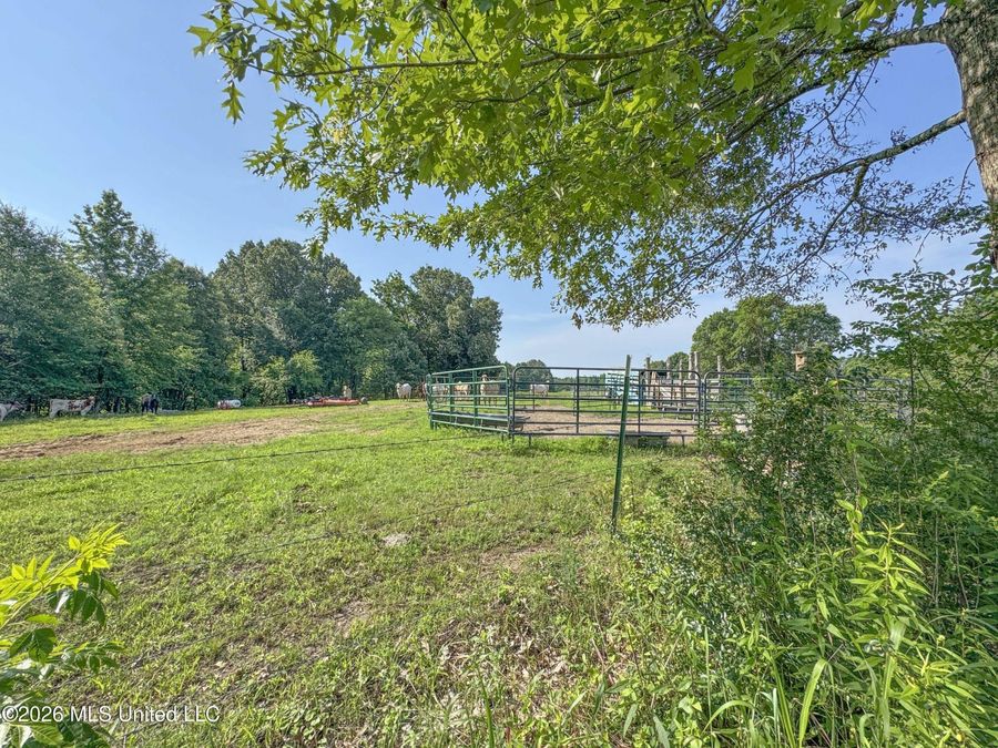 Property Image 51