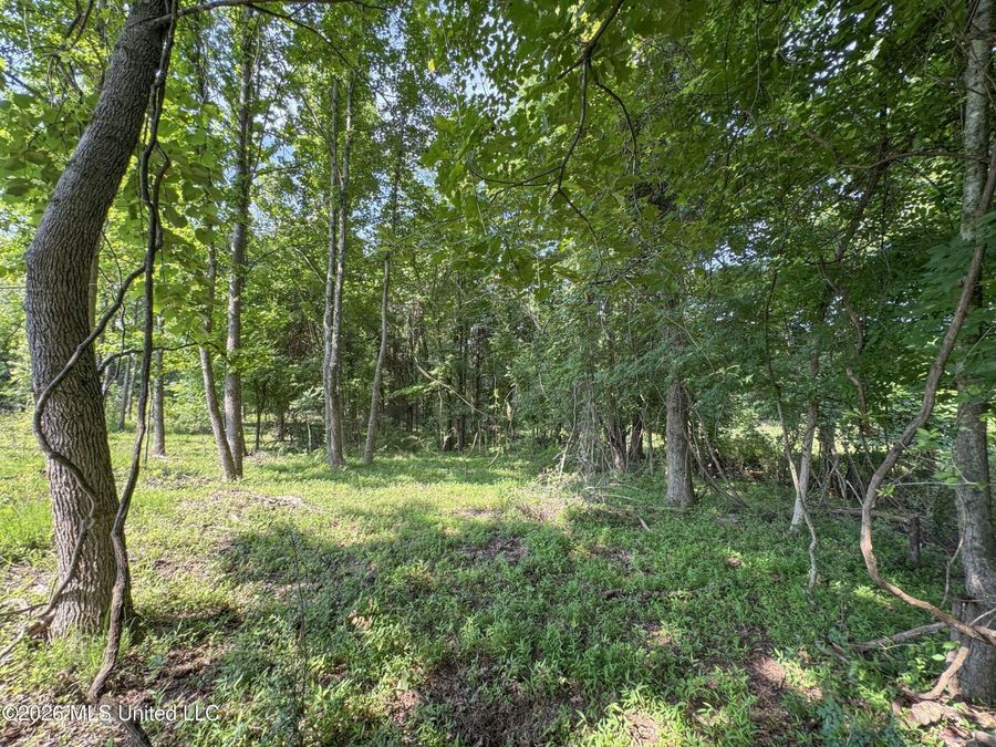 Property Image 66