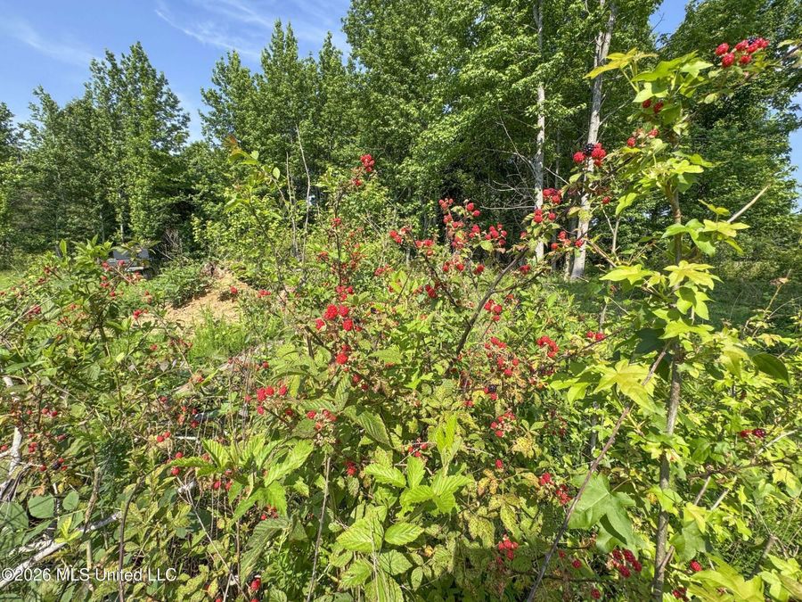 Property Image 68