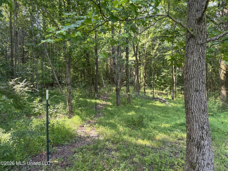 Property Image 69