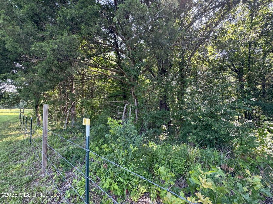 Property Image 81