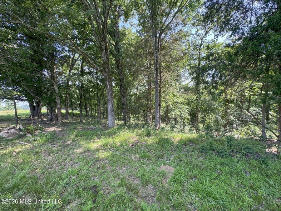 Property Image 83