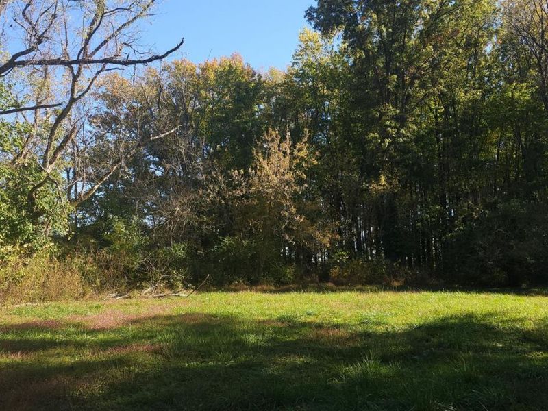 600 Ward Koebel Road, Washington Township, OH 45054 Photo 9