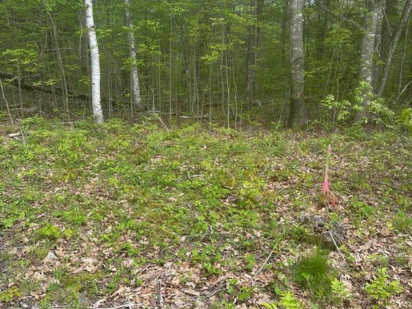 Lot 7 Unionville Road , Steuben, ME 04680