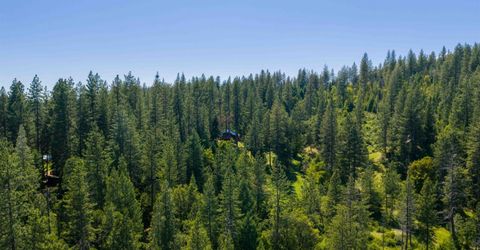 23 Wild Rose Meadow Ln, North San Juan, CA 95960 Photo