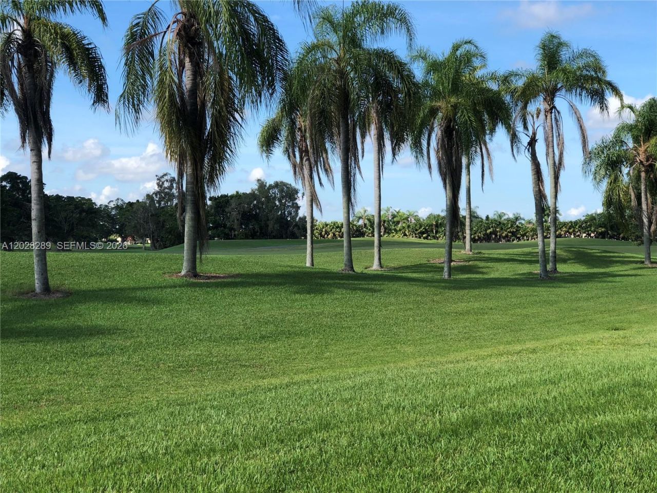 16300 Golf Club Rd , Unit 105, Weston, FL 33326 Photo