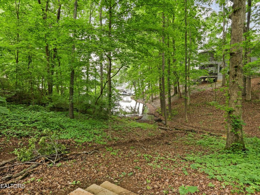 Property Image 58